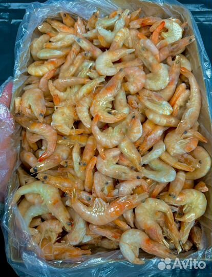 Креветка королевская
