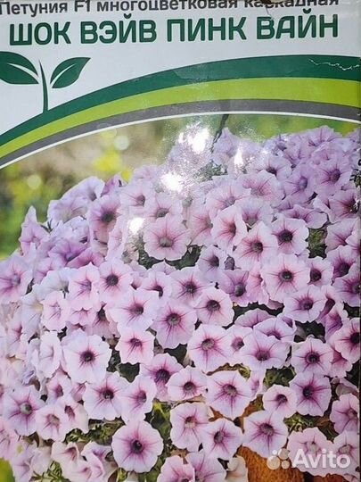 Партнер Петуния каскадная шок вэйв Пинк вайн