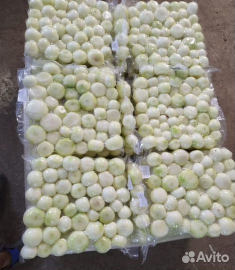 Лук чищенный очищенные