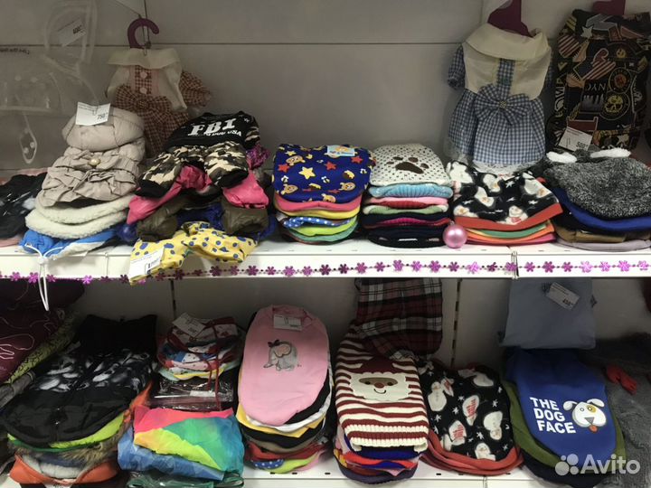 Одежда для собак и кошек