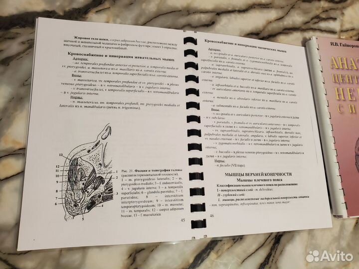 Методички Гайворонского