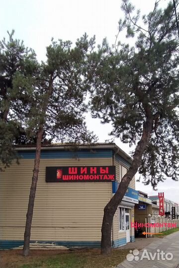 Viatti Brina V-521 195/55 R15