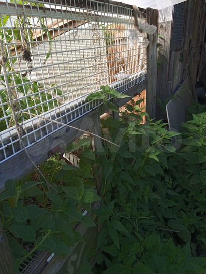 Дом 24 м² на участке 18 сот.