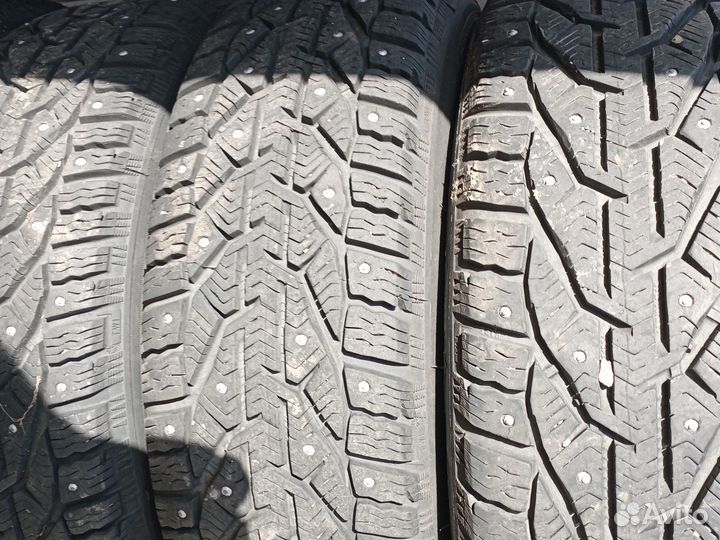 Kormoran Stud 2 4/6 R6 20B