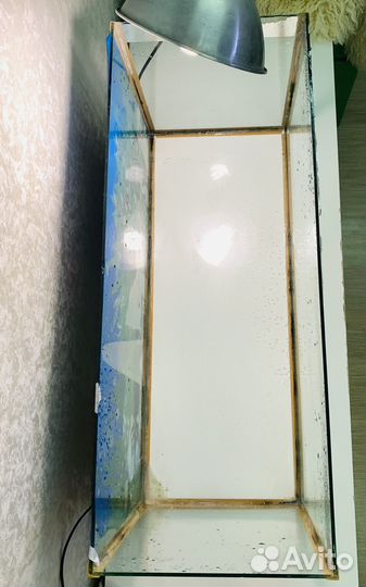 Аквариум 80*33*37, террариум