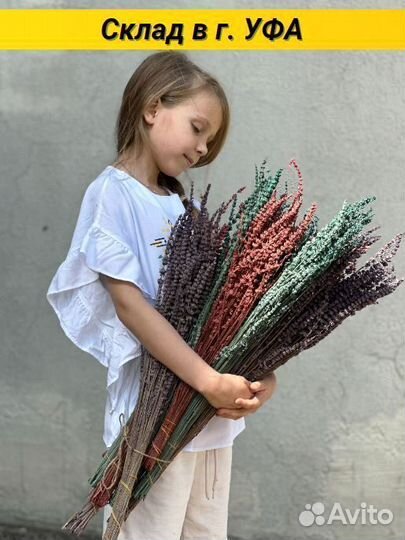 Сухоцветы Лаванда стабилизированная