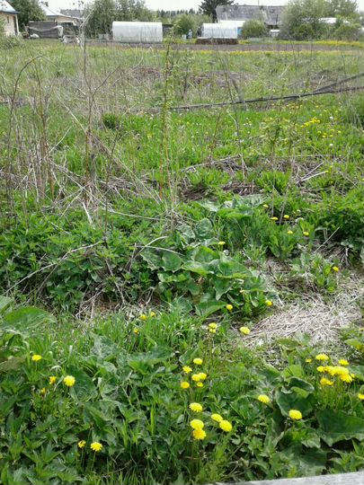 Участок 15 сот. (ИЖС)