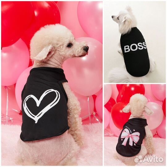 Одежда для маленьких собак Shein