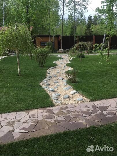 Рулонный газон эконом