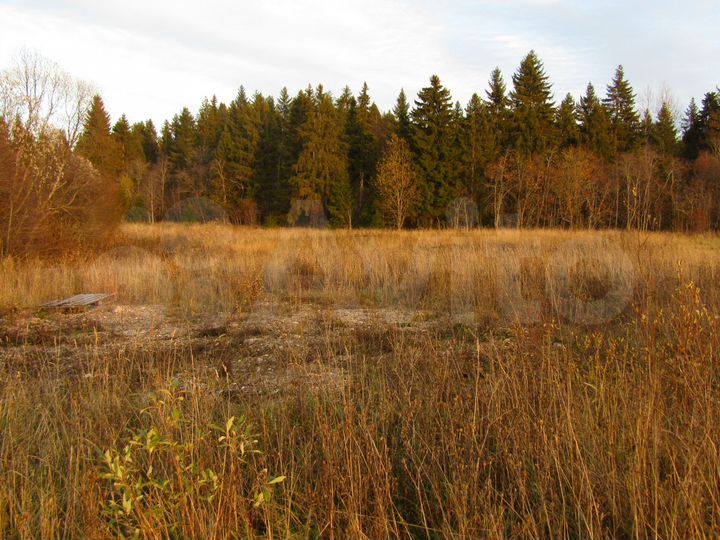 Участок 15 сот. (ИЖС)