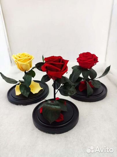 Роза в колбе оптом и в розницу