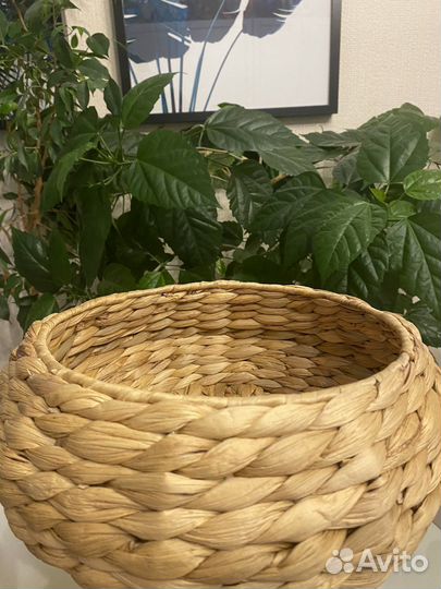Корзина плетеная/кашпо/для мелочей/декор