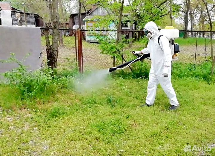Уничтожение Обработка от Клещей, Комаров, Короеда