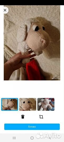 Собаки и the dog collection, the cat collection