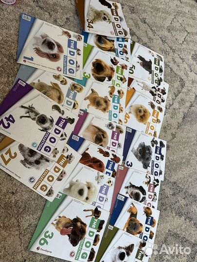 Журналы the dog collection