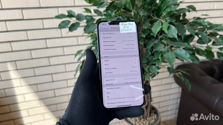 iPhone 12 Pro Max, 256 ГБ