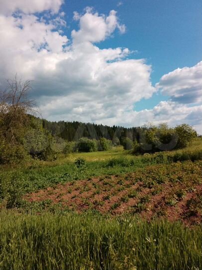 Дом 38 м² на участке 35 сот.