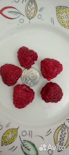 Почвосмесь, грунт, перегной крс в мешках 50л