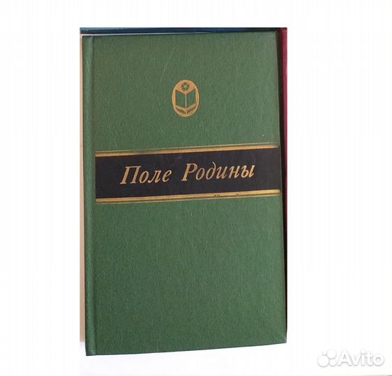 Сельская библиотека Нечерноземья Поле Родины