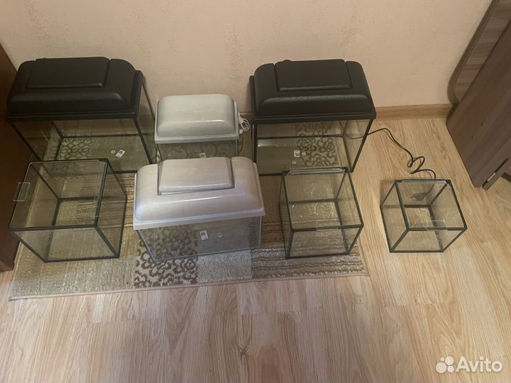 Аквариумы. Фильтры. Термометры. Нагреватели. Корм