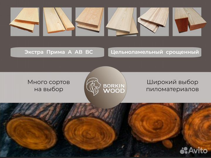 Планкен прямой лиственница