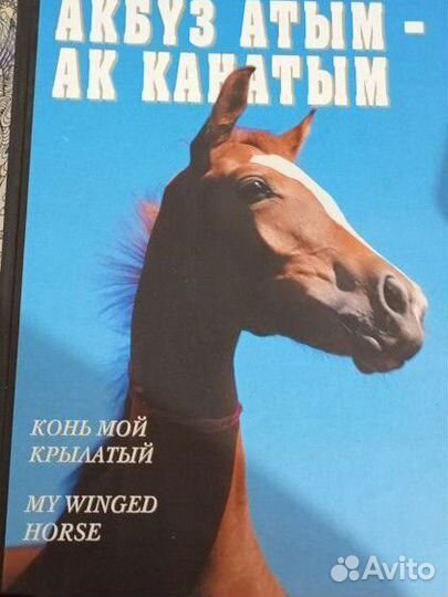 Подарочная серия, про лошадей рт