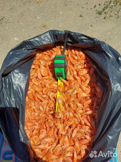 Продам креветку оптом.Азовка,черноморка