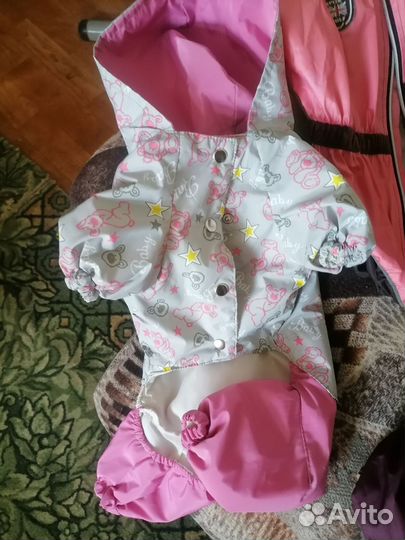 Вещи для маленькой собачки