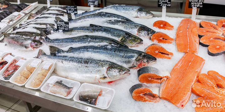 Прибыльный магазин рыбы и морепродуктов на продажу