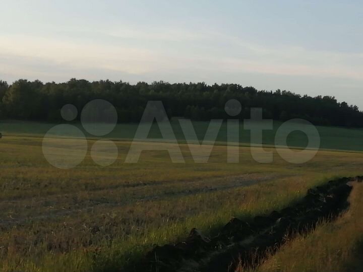 Участок 7,3 га (СНТ, ДНП)