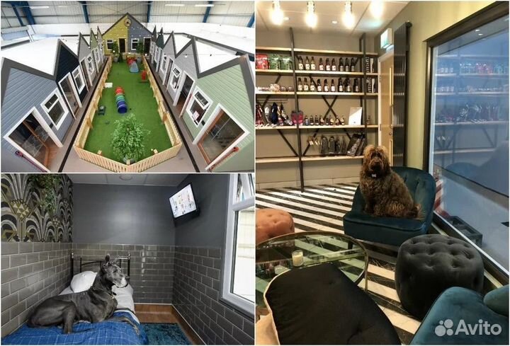 Ищу партнера в бизнес зоогостиницы