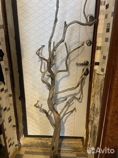 Дрифтвуд коряга для интерьера