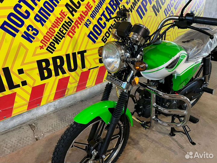 MotoLand Alpha RX-11