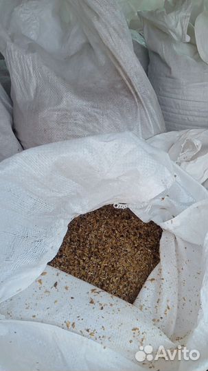 Пивная дробина