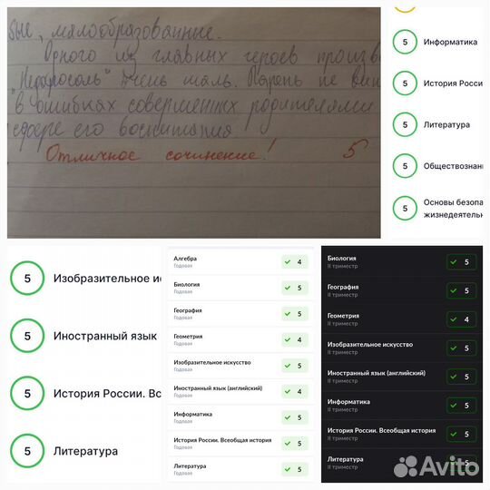 Напишу сочинение, эссе