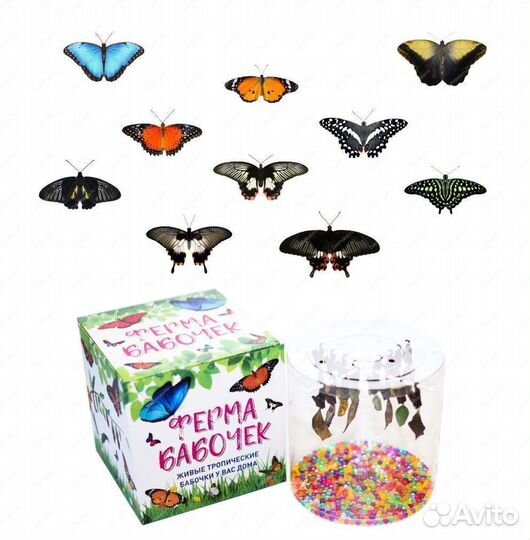 Детская миниферма Живых Тропических Бабочек д/ф-11