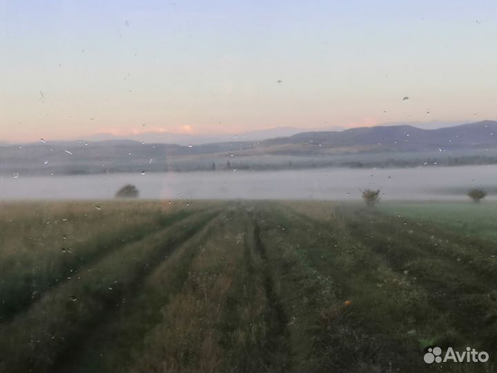 Сено в рулонах 2023