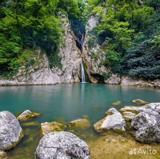 Сочи Абхазия Красная поляна. экскурсии