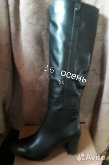 Сапоги женские демисезонные
