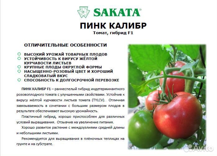 Пинк Парадайз F1 семена томата саката