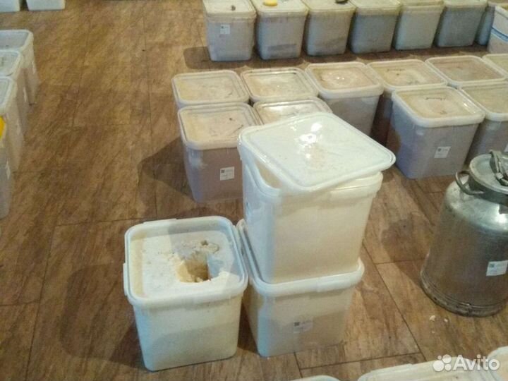 Рапсовый мёд