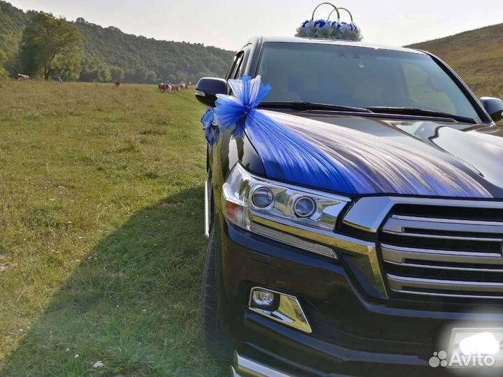 Прокат авто на любое торжество