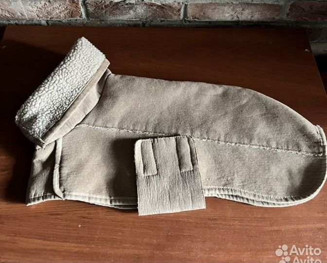 Одежда для собак