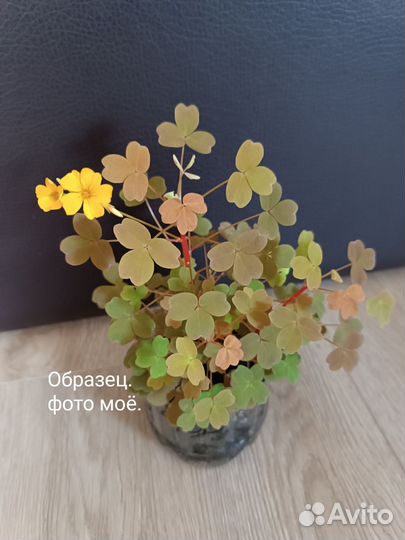 Разные комнатные