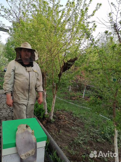 Мёд с собственной пасеки Солондаевых