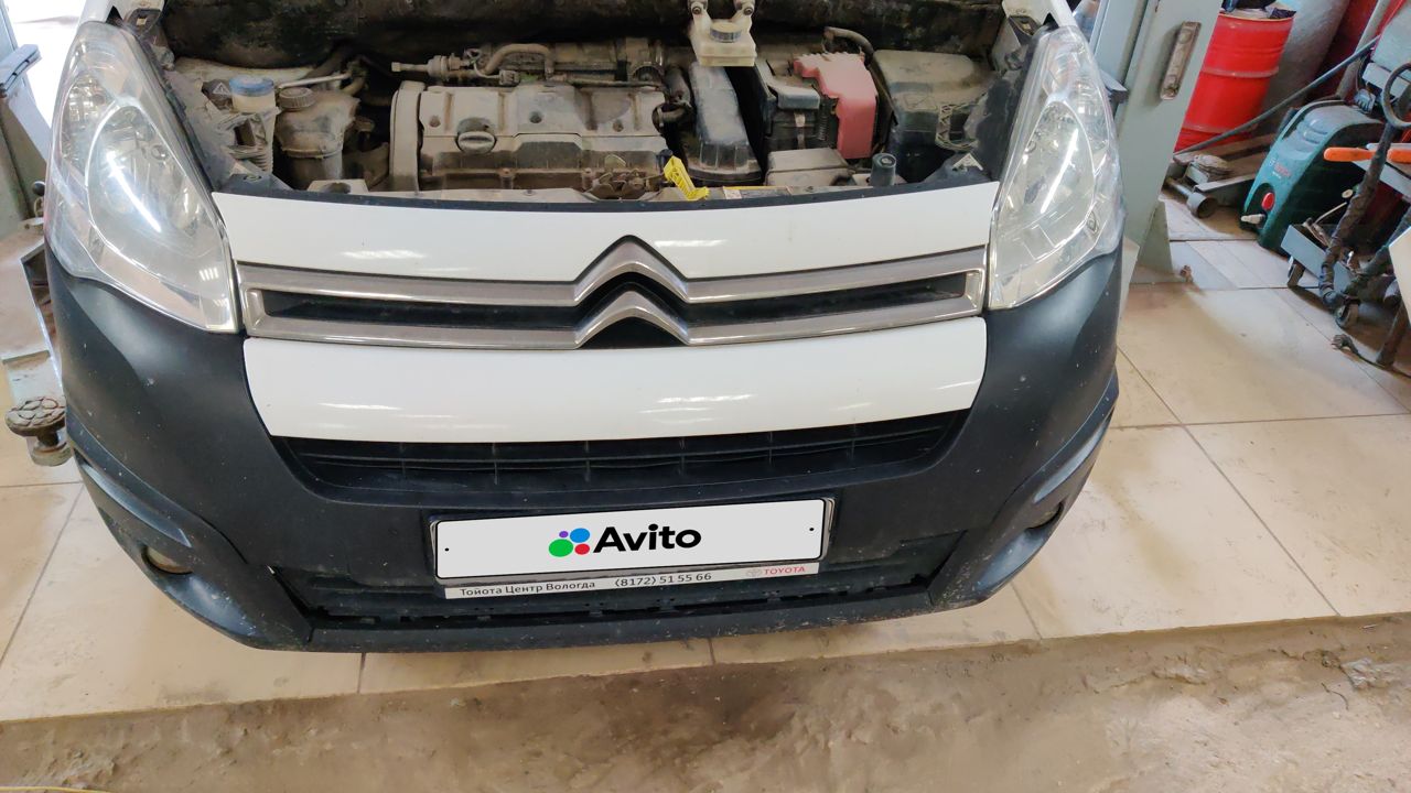 Citroen Berlingo: фото владельца