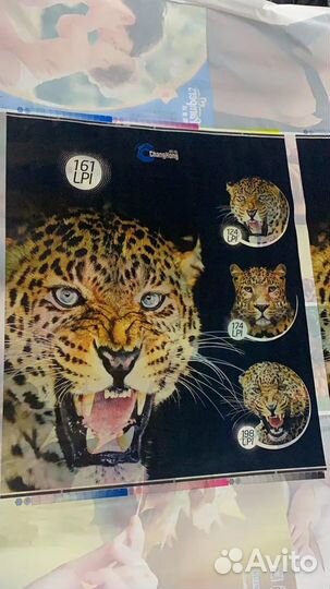 Предприятие по выпуску пленок и пакетов под ключ