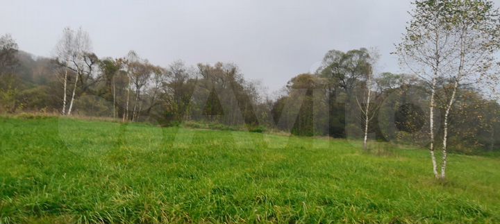 Участок 3 га (СНТ, ДНП)