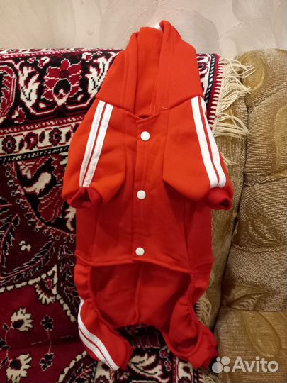 Одежда для собак