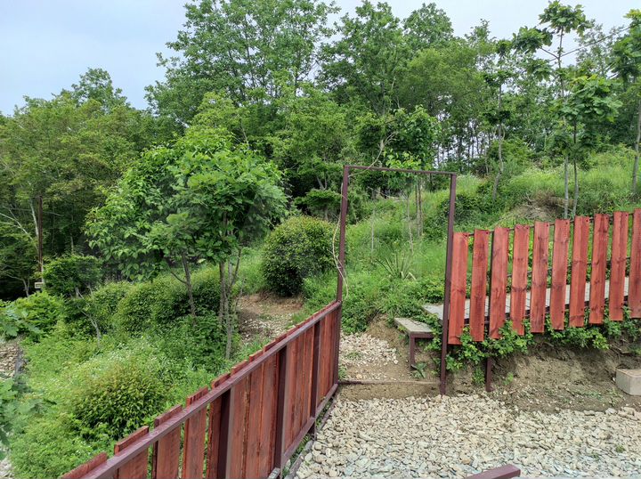 Участок 6 сот. (СНТ, ДНП)